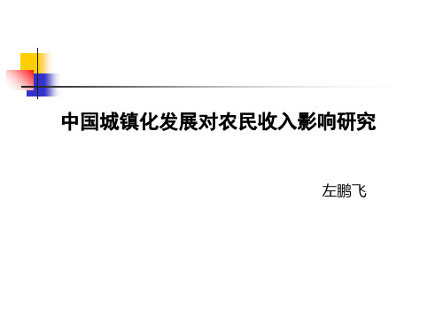 中国城镇化发展对农民收入的影响研究