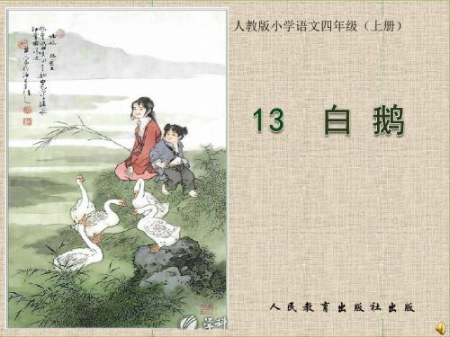 《白鹅》人教版小学语文四年级(上册)课件