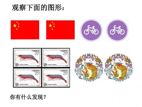 苏科版八年级数学上册1.1《全等图形》(共11张PPT)