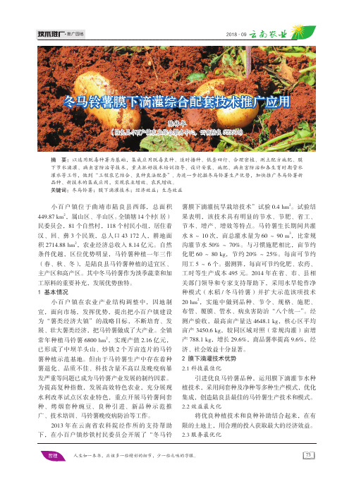 冬马铃薯膜下滴灌综合配套技术推广应用