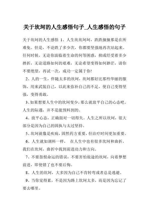 关于坎坷的人生感悟句子_人生感悟的句子