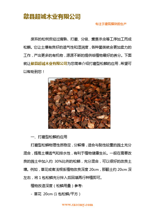 打磨型松鳞