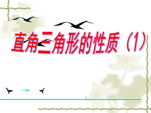 沪教版初中数学八年级第一学期直角三角形的性质