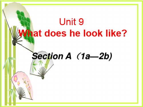 《What does he look like》4  图文