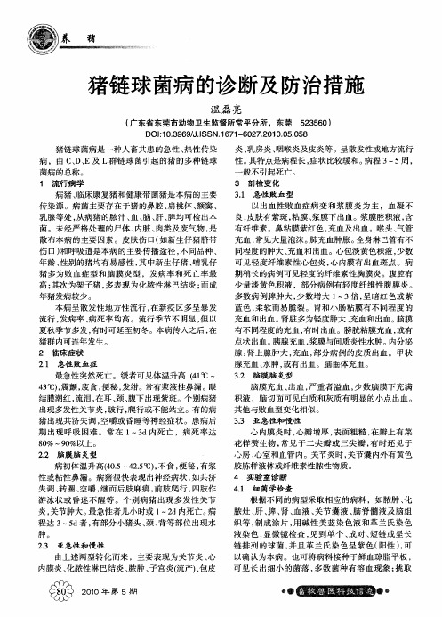 猪链球菌病的诊断及防治措施