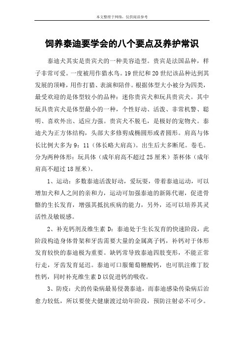饲养泰迪要学会的八个要点及养护常识