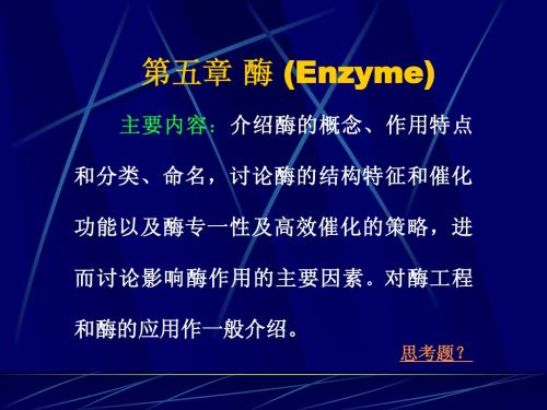 生物化学第五章酶