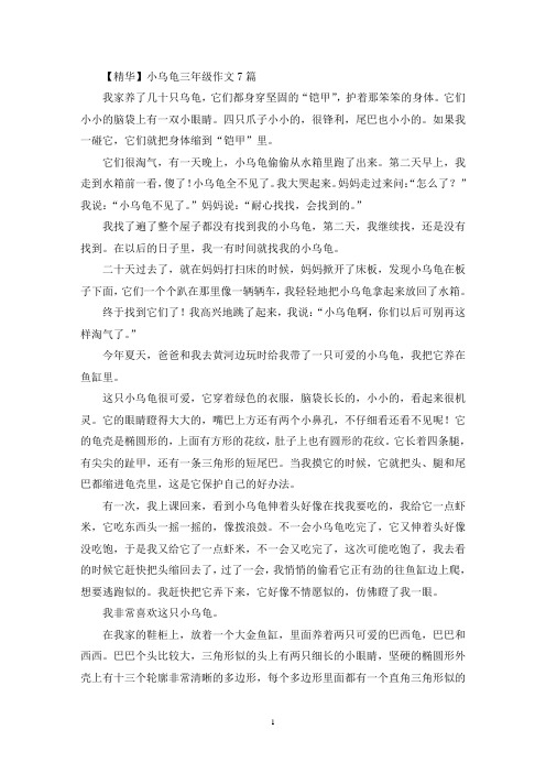 小乌龟三年级作文7篇(优秀范文)