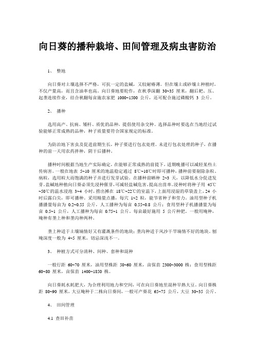 向日葵的播种栽培、田间管理及病虫害防治