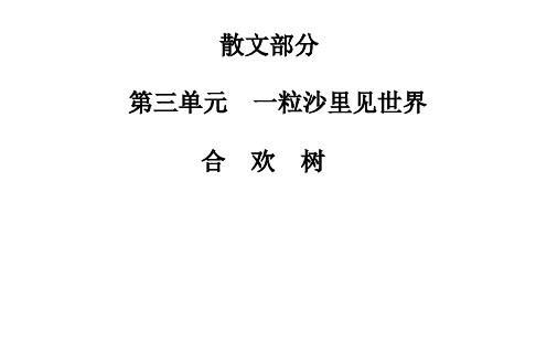 名师精编--散文部分 第三单元 合欢树 课件(人教版选修《中国现代诗歌散文欣赏》)