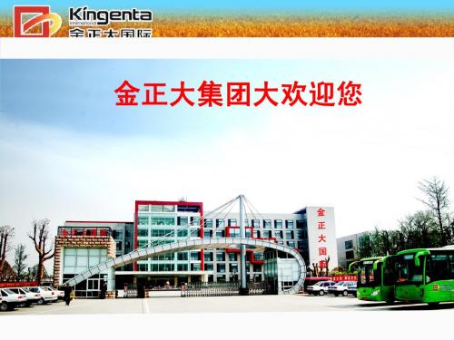 金正大公司介绍1
