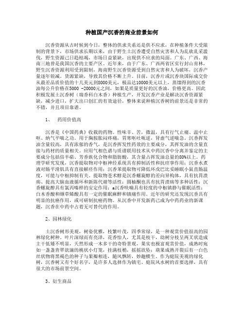 种植国产沉香树的商业前景如何