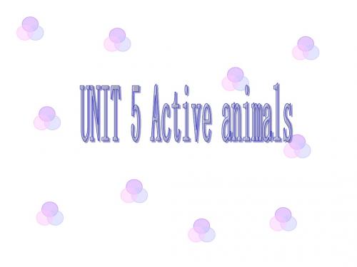 unit 5 Active animals
