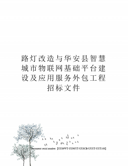 路灯改造与华安县智慧城市物联网基础平台建设及应用服务外包工程招标文件
