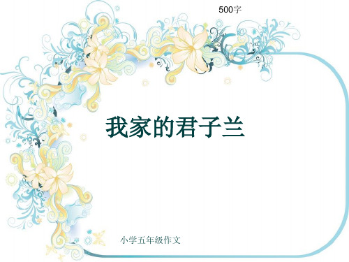 小学五年级作文《我家的君子兰》500字(共8页PPT)