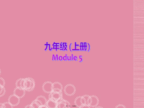 九年级英语上册 Module 5 Museums Unit 1 You mustn’t touch 