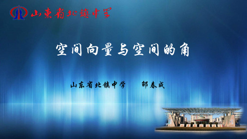 空间向量与空间的角