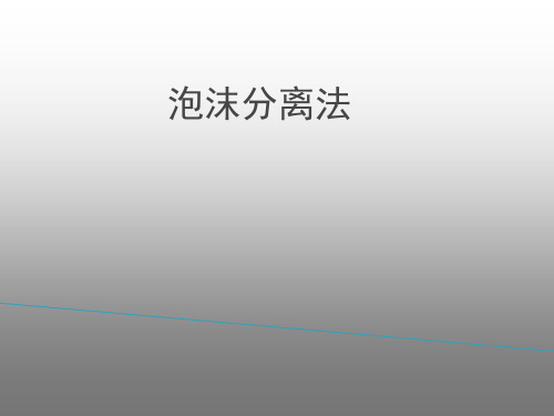 泡沫分离法
