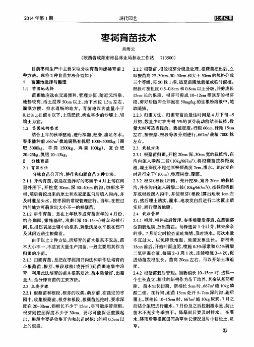 枣树育苗技术