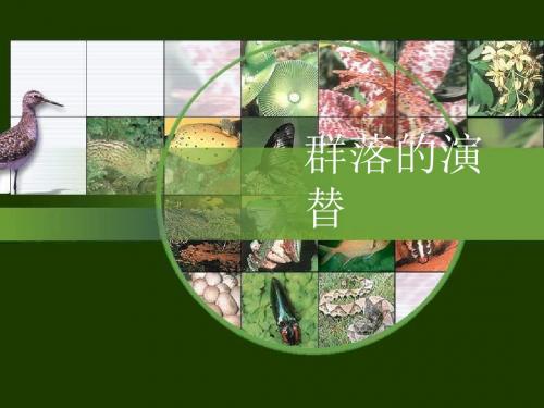 高二生物群落的演替