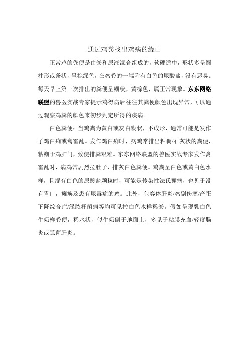 通过鸡粪找出鸡病的缘由