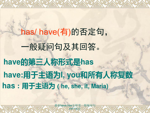 最新have,has怎样变一般疑问句PPT课件