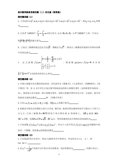 高中数学新高考填空题训练(二)共五套(附答案)