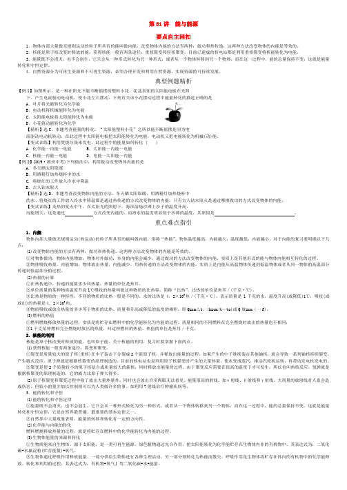 初中科学二轮中考专题精讲：第31讲 能与能源