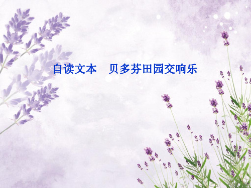 贝多芬田园交响乐中小学PPT教学课件
