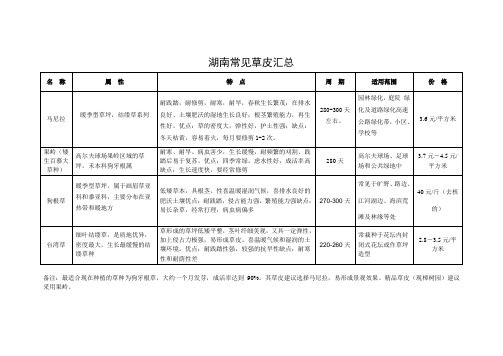 湖南常见草皮汇总