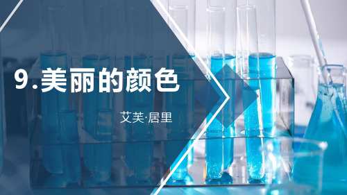 新部编版八年级语文上册《美丽的颜色》精品ppt教学课件
