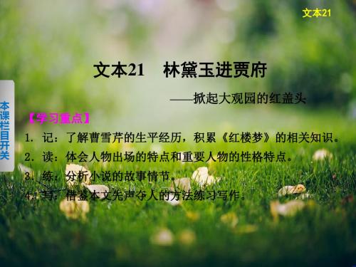 《学案导学设计》高中语文苏教版必修2配套课件专题四 文本21林黛玉进贾府