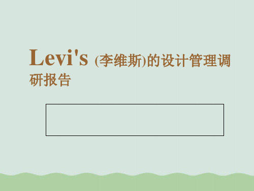 品牌策略调研报告PPT(共29页)