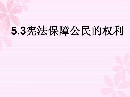 5.32宪法保障公民权利
