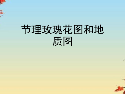 节理玫瑰花图和地质图