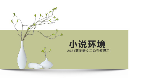 2021高考语文专题复习小说环境精品PPT课件