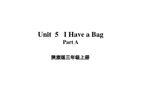陕旅版三年级英语unit5