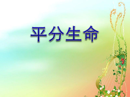 《平分生命》ppt教材课件