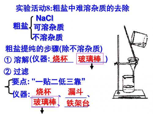 粗盐的提纯