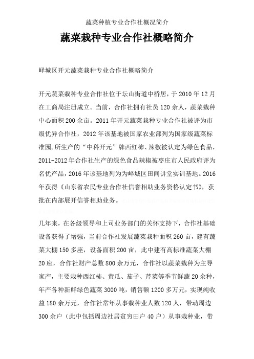 蔬菜种植专业合作社概况简介