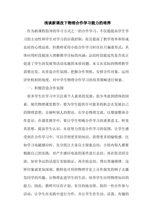 新课改下物理合作学习能力培养