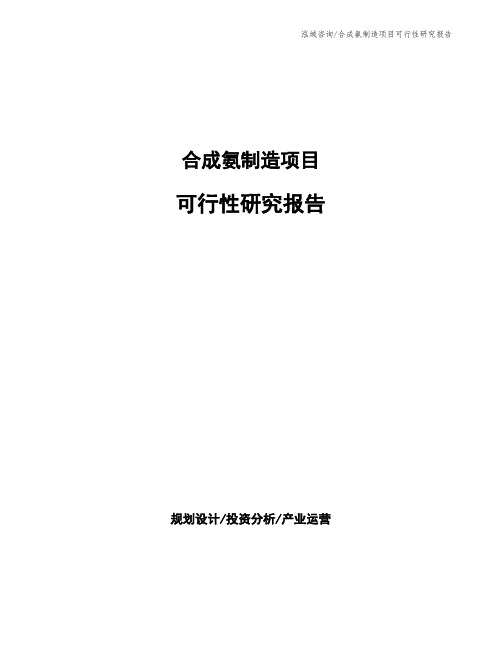 合成氨制造项目可行性研究报告