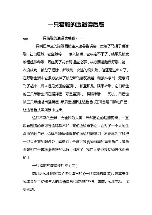 一只猎雕的遭遇读后感