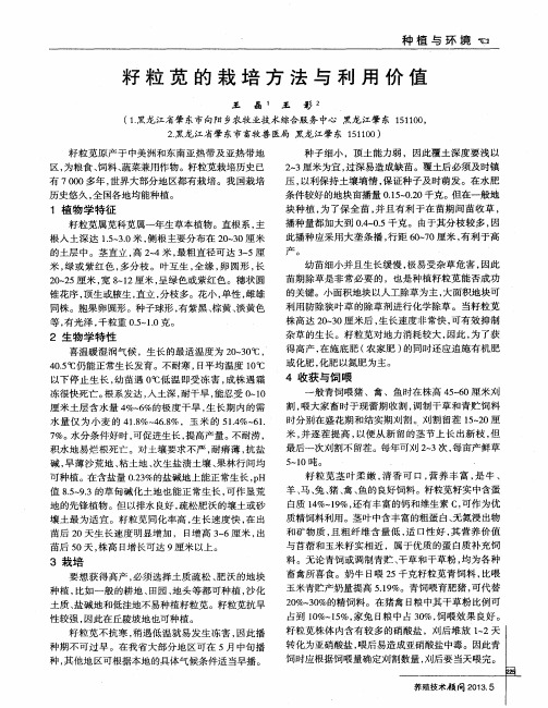 籽粒苋的栽培方法与利用价值
