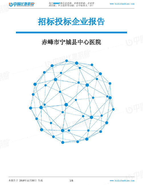 赤峰市宁城县中心医院-招投标数据分析报告