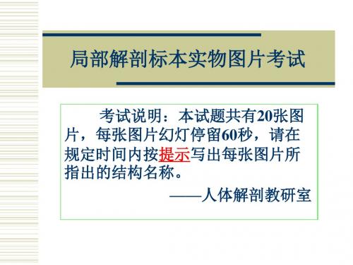 局解实验考课件