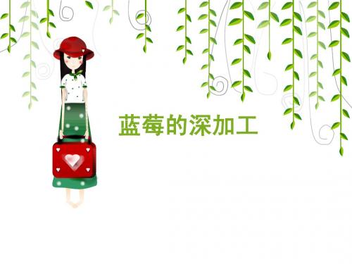 蓝莓深加工