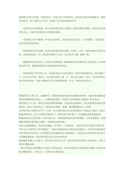 动物尾巴资料