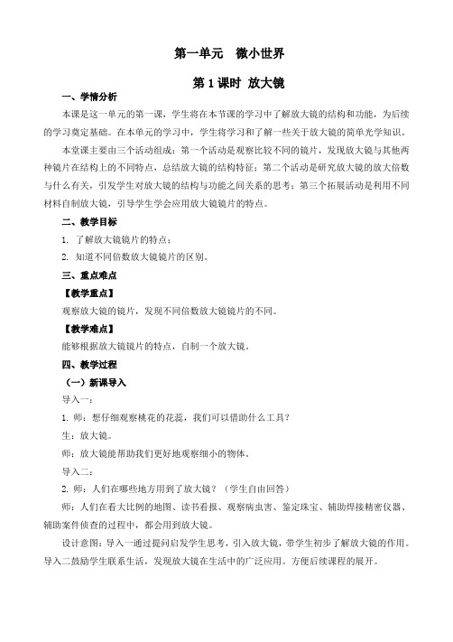 最新教科版六年级上册科学《放大镜》优质教学设计