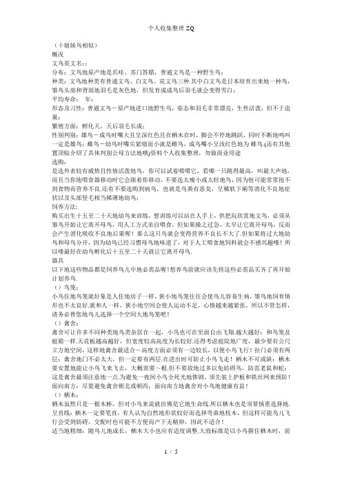 文鸟的饲养(十姐妹鸟相似)
